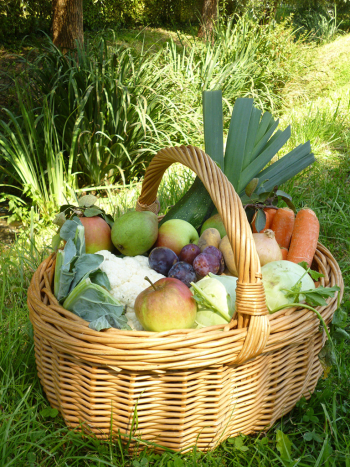 Ein bunter Erntekorb mit verschiedenen Obst und Gemüsen